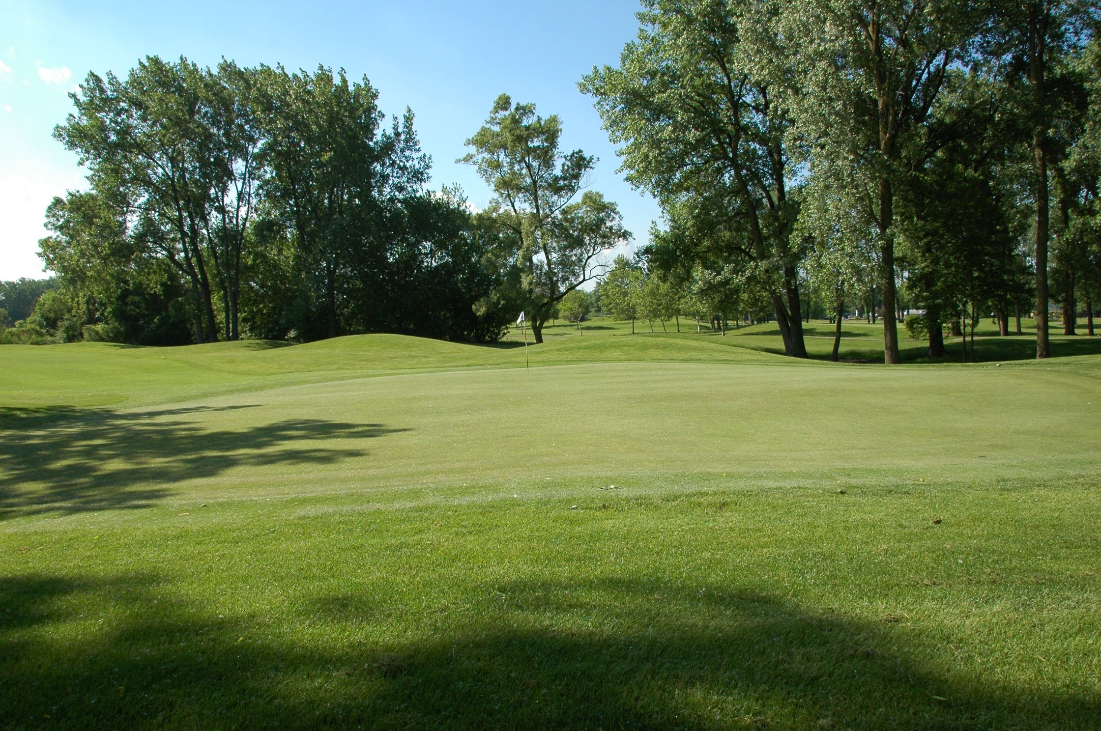 A view of the beautiful scenery of the Taylor Meadows Golf Course.